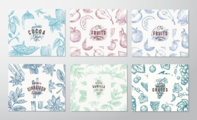 Premium Vector | Hand drawn grapes, fruits, cocoa beans, mint, nuts and spices cards set.
