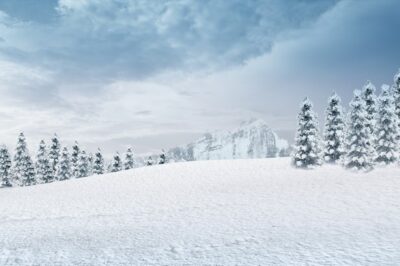 Free Photo | View of a snowy mountain and fir trees with blue sky background