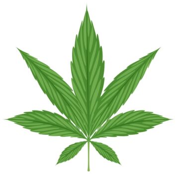 Free Vector | Cannabis leaf on white background