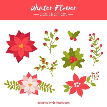Free Vector | Collection of winter flower