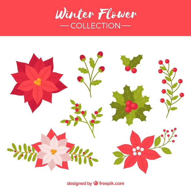 Free Vector | Collection of winter flower