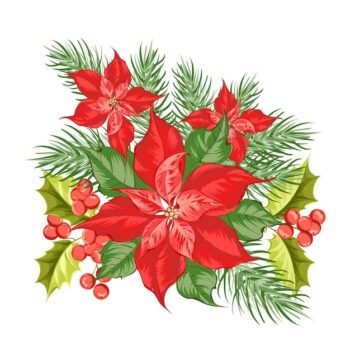 Free Vector | Composition of red poinsettia flower isolated over white background.