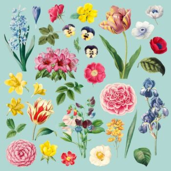 Free Vector | Different flowers painting set