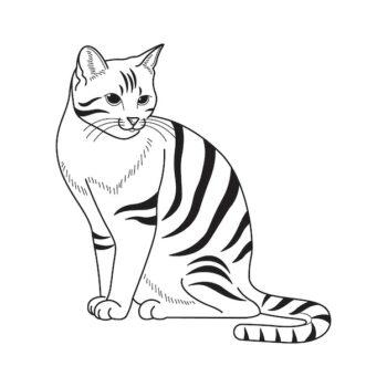 Free Vector | Hand drawn cat outline illustration