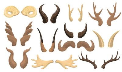 Free Vector | Horns and antlers set. ram, reindeer, moose, cow, deer, stag horny parts isolated . flat vector illustration for male horned animals, hunting trophy, decoration concept.