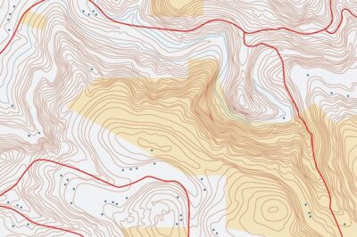 Free Vector | Interesting topographic map background