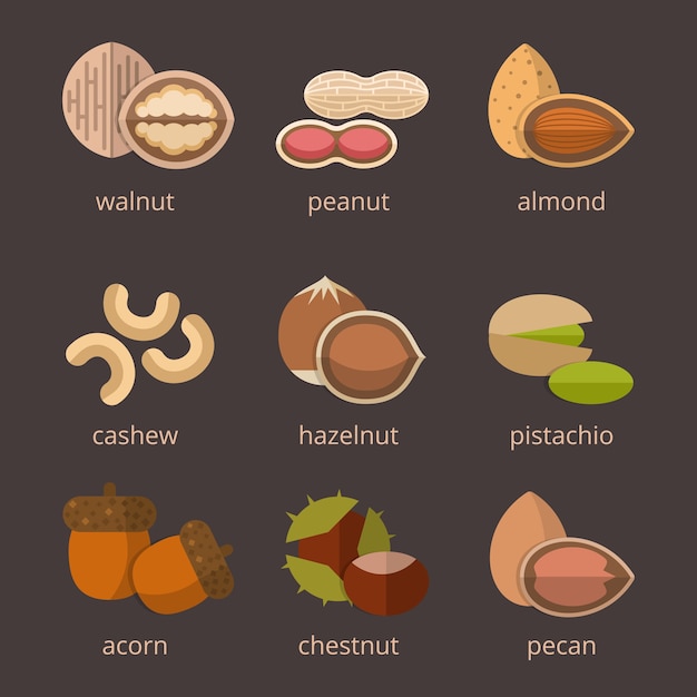 Free Vector | Nuts icon flat set. food organic, natural nutrition hazelnut and acorn.