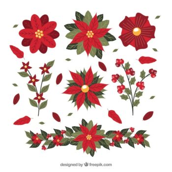 Free Vector | Pack of hand drawn poinsettias