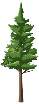 Free Vector | Pine tree in cartoon style isolated
