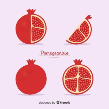 Free Vector | Pomegranate set
