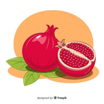 Free Vector | Pomegranates