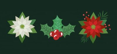 Free Vector | Set of flowers and leafs christmas decoration