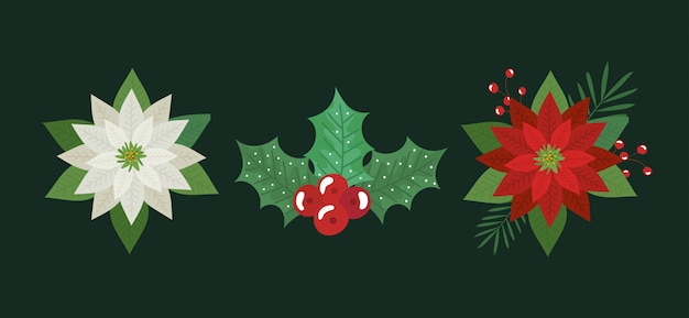Free Vector | Set of flowers and leafs christmas decoration