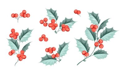 Free Vector | Set of illustrations of christmas branches.