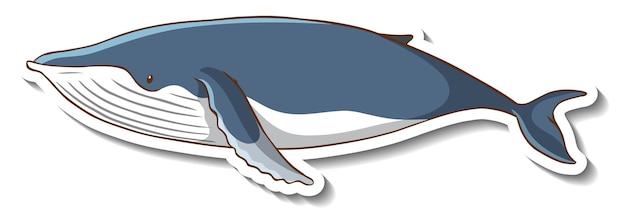 Free Vector | Sticker template with a whale cartoon character isolated