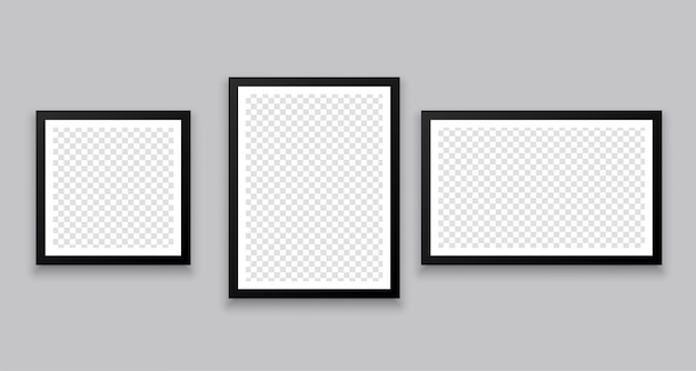 Free Vector | Three gallery wall style photo frames in different sizes