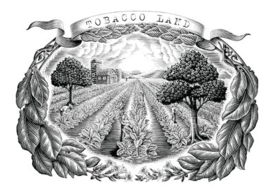 Free Vector | Tobacco land hand draw vintage engraving style black and white clip art isolated on white background