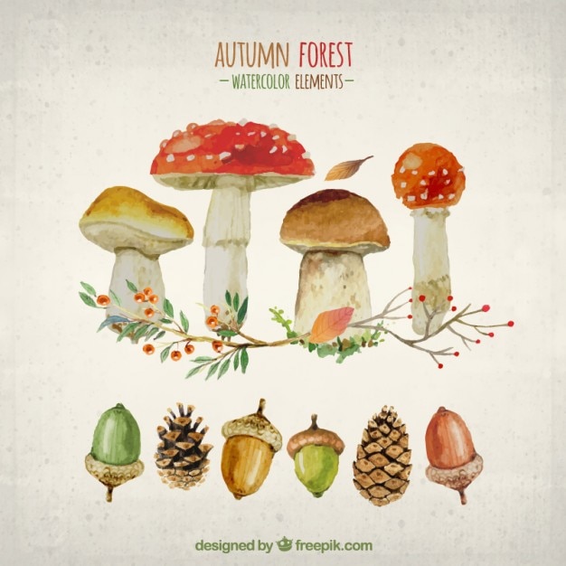 Free Vector | Watercolor elements of autumn forest
