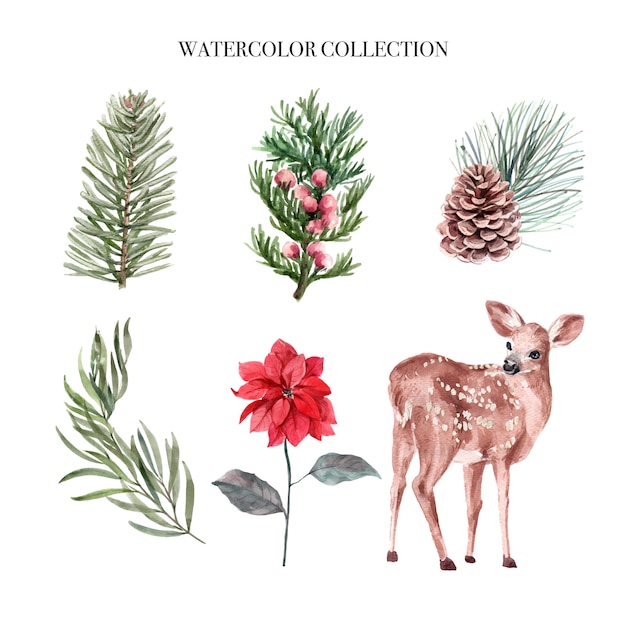 Free Vector | Watercolor winter decoration illustration, consisting of plants and deer.
