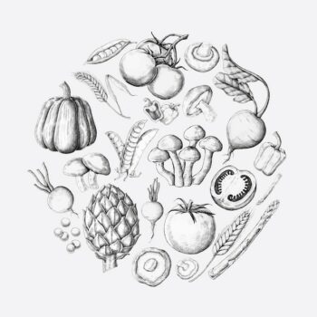 Free Vector | White vegetable design collection