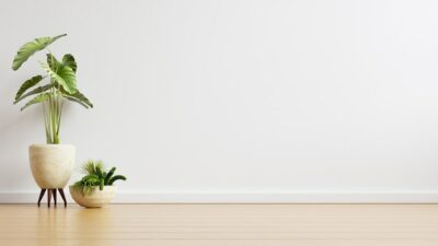 Premium Photo | White wall empty room with plants on a floor,3d rendering