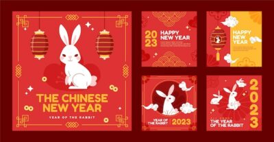 Free Vector | Chinese new year celebration instagram posts collection