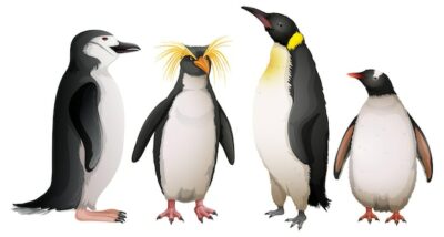 Free Vector | Different types of penguins
