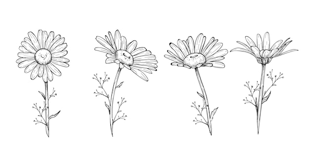 Free Vector | Engraving hand drawn flower collection