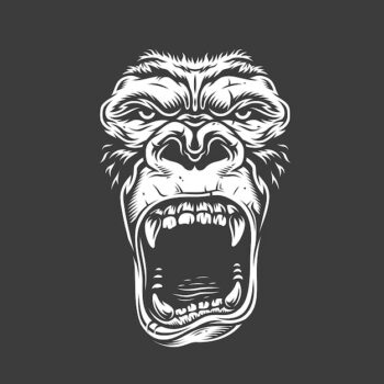 Free Vector | Face of gorilla  on white
