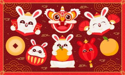 Free Vector | Flat chinese new year festival celebration elements collection