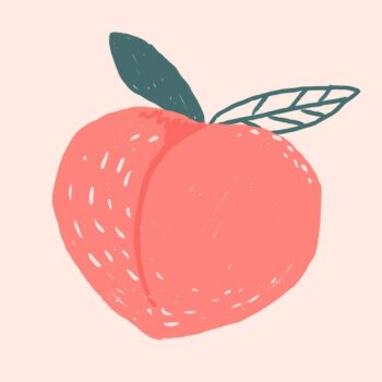 Free Vector | Fruit peach doodle drawing vector