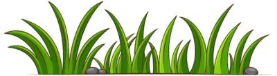 Free Vector | Green grass on white background