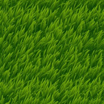 Free Vector | Green grass vector seamless texture. lawn nature, meadow plant, field natural outdoor illustration