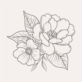 Free Vector | Hand drawn flat design simple flower outline