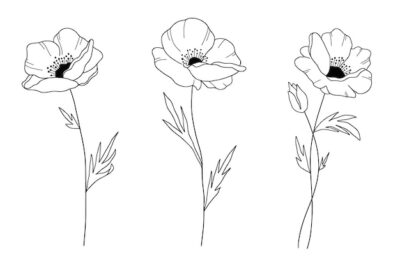 Free Vector | Hand drawn simple flower outline illustration