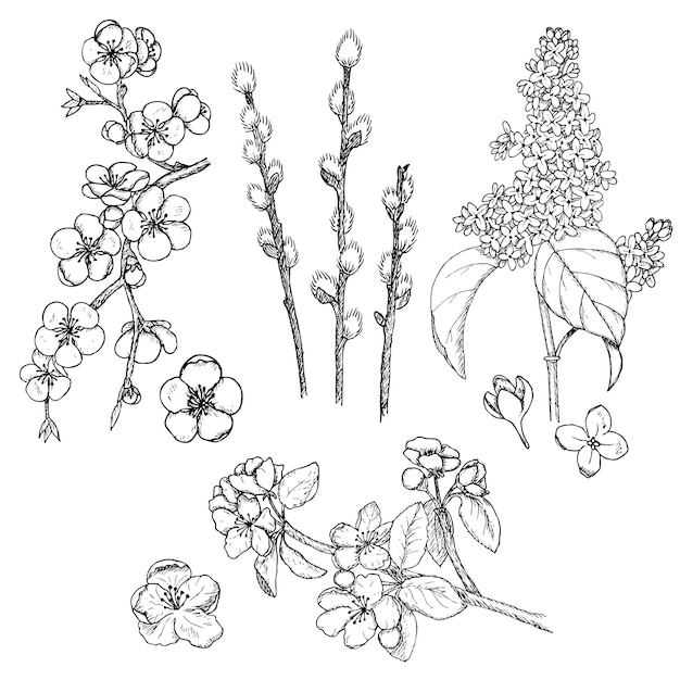 Free Vector | Hand drawn spring natural collection