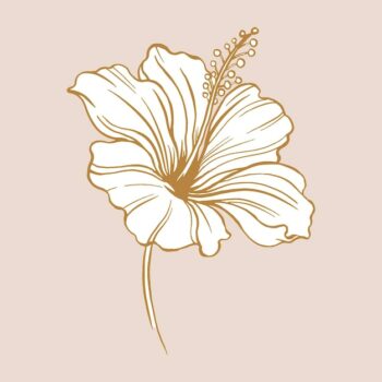 Free Vector | Hibiscus flower sticker, brown vintage botanical illustration vector