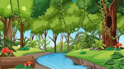 Free Vector | Rainforest or tropical forest at daytime scene