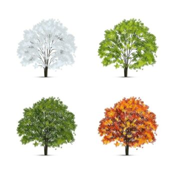 Free Vector | Realistic tree season set with isolated images of trees with green and yellow leaves with snow