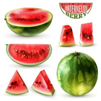 Free Vector | Realistic watermelon images set with whole berry half wedges slices and bite size pieces isolated vector illustration