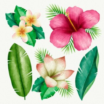 Free Vector | Tropical plants collection illustrated