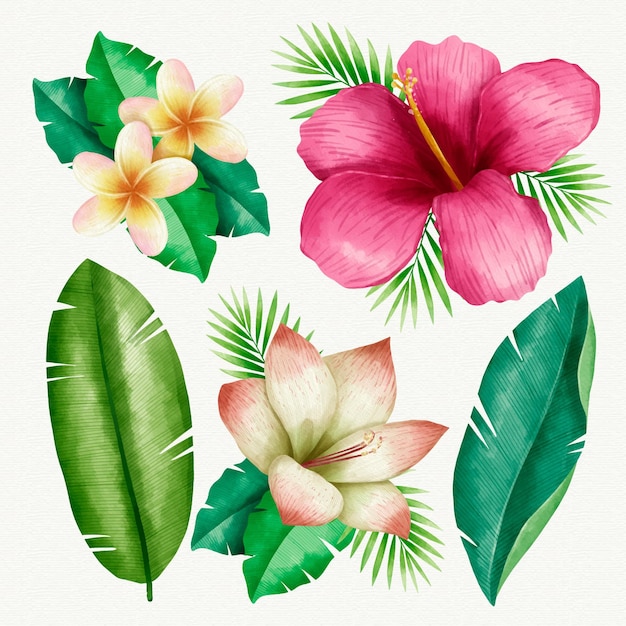 Free Vector | Tropical plants collection illustrated