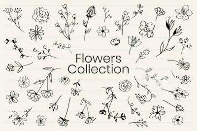 Free Vector | Various flowers doodle collection vector