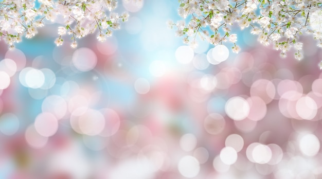 Free Photo | 3d render of blurry cherry blossoms with bokeh lights