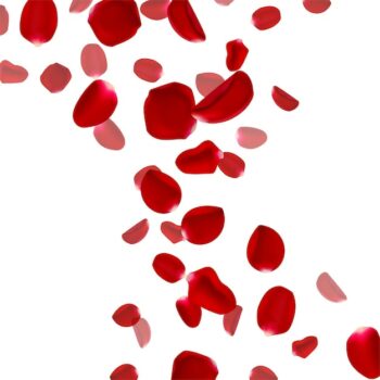 Free Vector | 3d realistic flying rose petals background