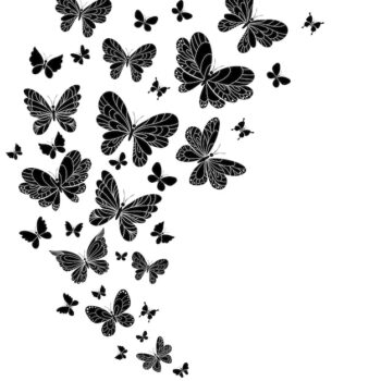 Free Vector | Black and white flying butterflies with outspread wings set