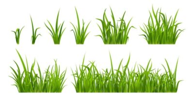 Free Vector | Green grass realistic weed plants for lawn