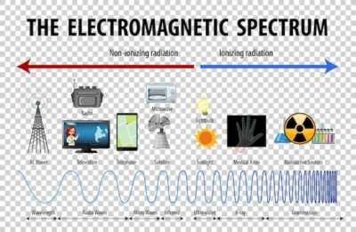 Free Vector | Science electromagnetic spectrum diagram on transparent background
