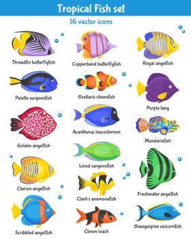 Free Vector | Tropical fish icons set