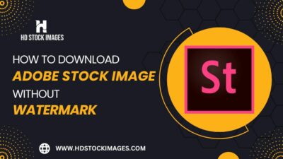 How to download Adobe Stock Image without watermark for free